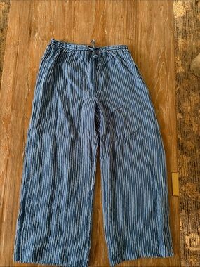 Z Supply size medium Blue Striped Casual Drawstring Pants